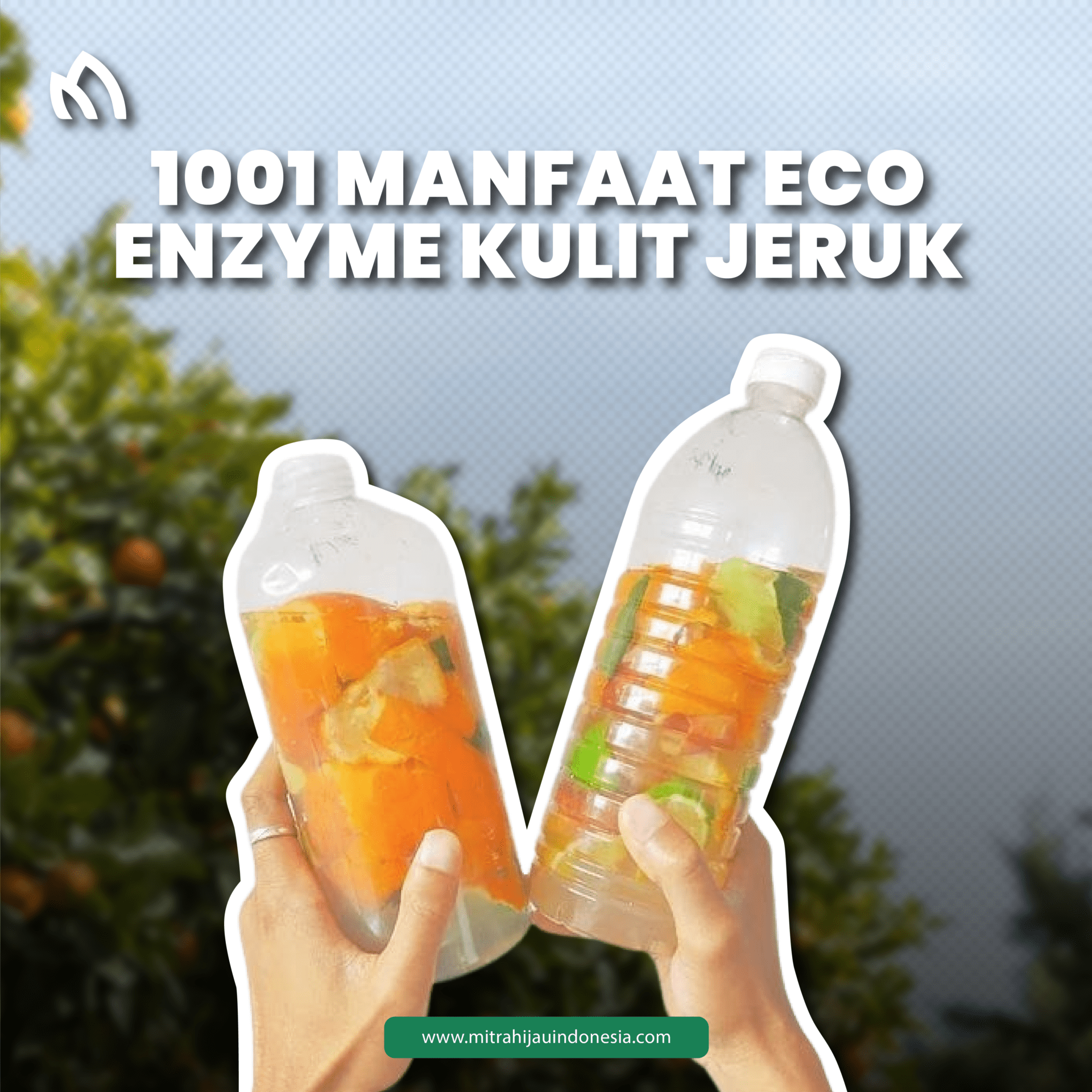 Manfaat Eco Enzyme Kulit Jeruk Mitra Hijau Indonesia Konsultan