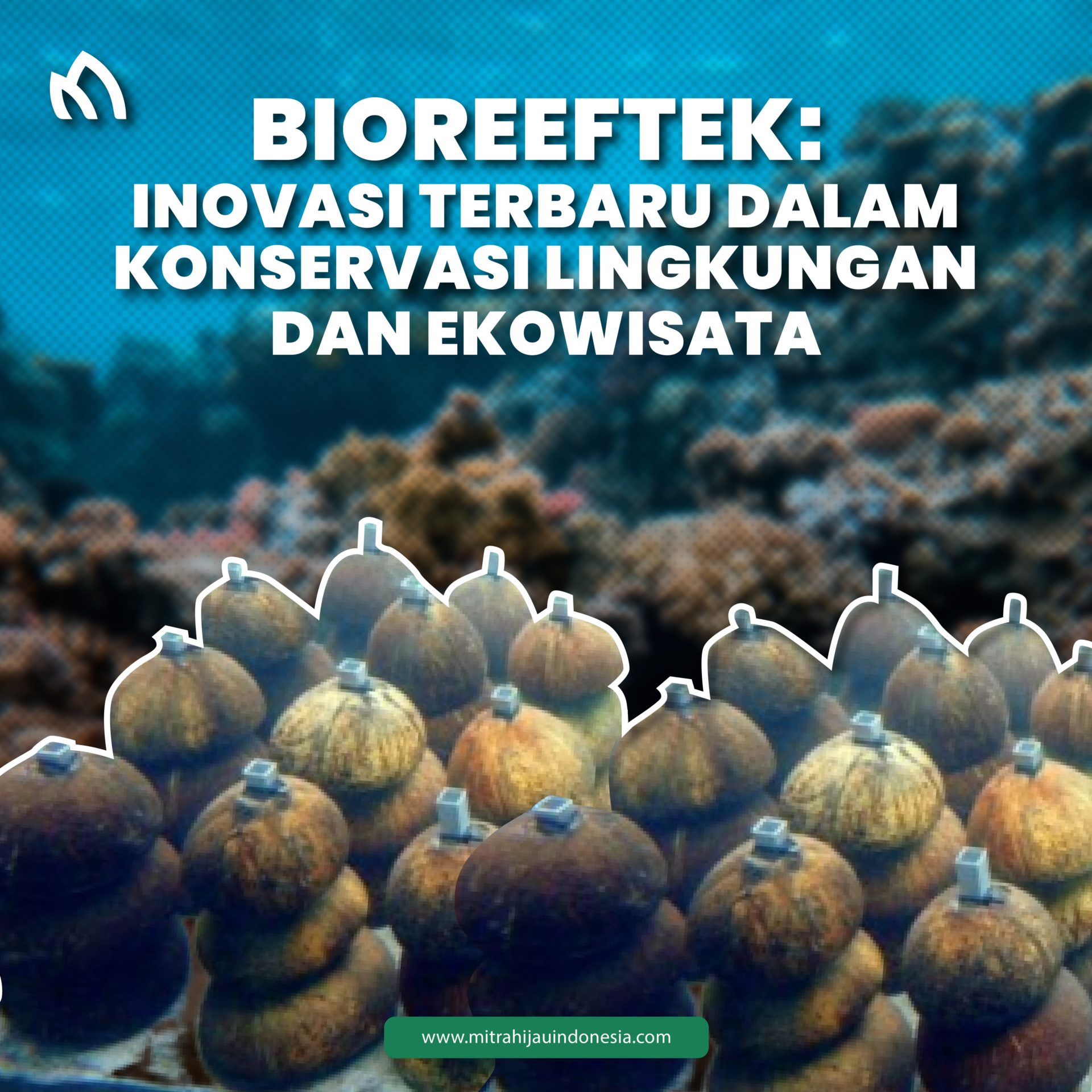 Bioreeftek: Inovasi Terbaru Dalam Konservasi Lingkungan Dan Ekowisata ...